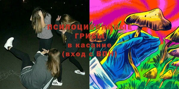 соль ск Осташков