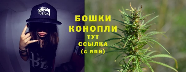спиды Осинники