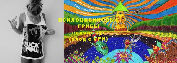 соль ск Осташков