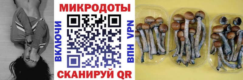 Галлюциногенные грибы мицелий  omg ТОР  Вичуга 