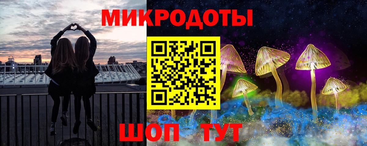 Вичуга  Псилоцибиновые грибы Psilocybine cubensis  Вход с VPN 